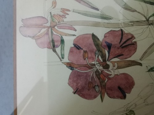 2 Impresiones De Colección Rennie Mackintosh Hierba de Sauce Larkspur Cuadros Negros 10"x8.25" - Imagen 22 de 24