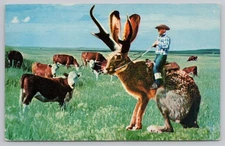 Cowboy Riding Jackalope Roundup Time Mike Roberts Chrome Postcard