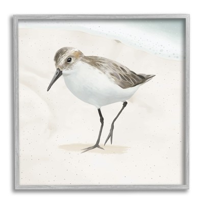 Stepping Sandpiper Bird Ocean Shoreline Beach Scene Framed Wall Art, Design B...