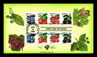 US COVER FRUIT BERRIES FIRST DAY ISSUE COMBO PUGH HAND PAINTED