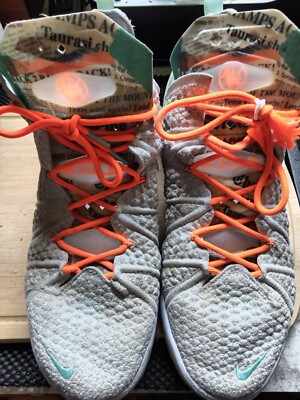 Size 15 - Nike Diana Taurasi x LeBron 18 GOAT Vision (CQ9283-401)