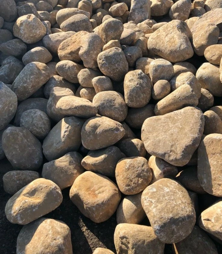 500 kg Nordische Findlinge Natursteine Friesenwall Steine 10-40cm inkl.Lieferung - Bild 2 von 4