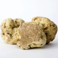 Oregon Spring Truffle 1 oz