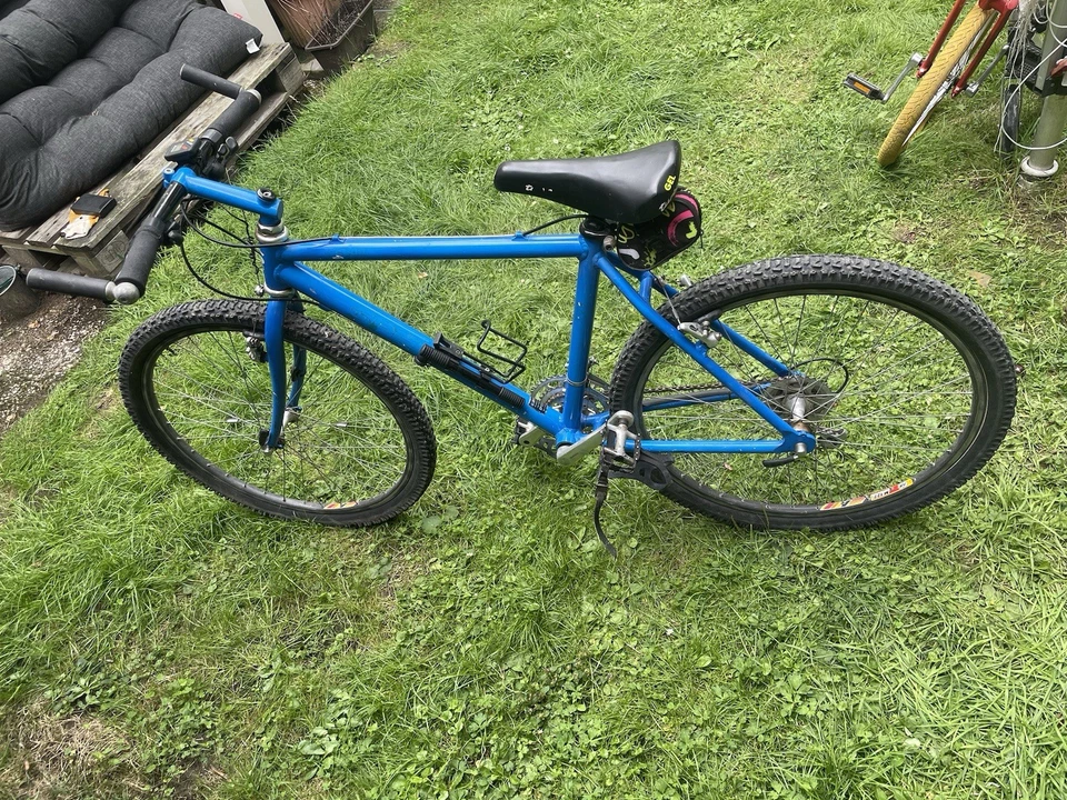Speed Mountainbike, Mit Erfahrung, 3 Gangschaltung, Blau - Bild 3 von 4