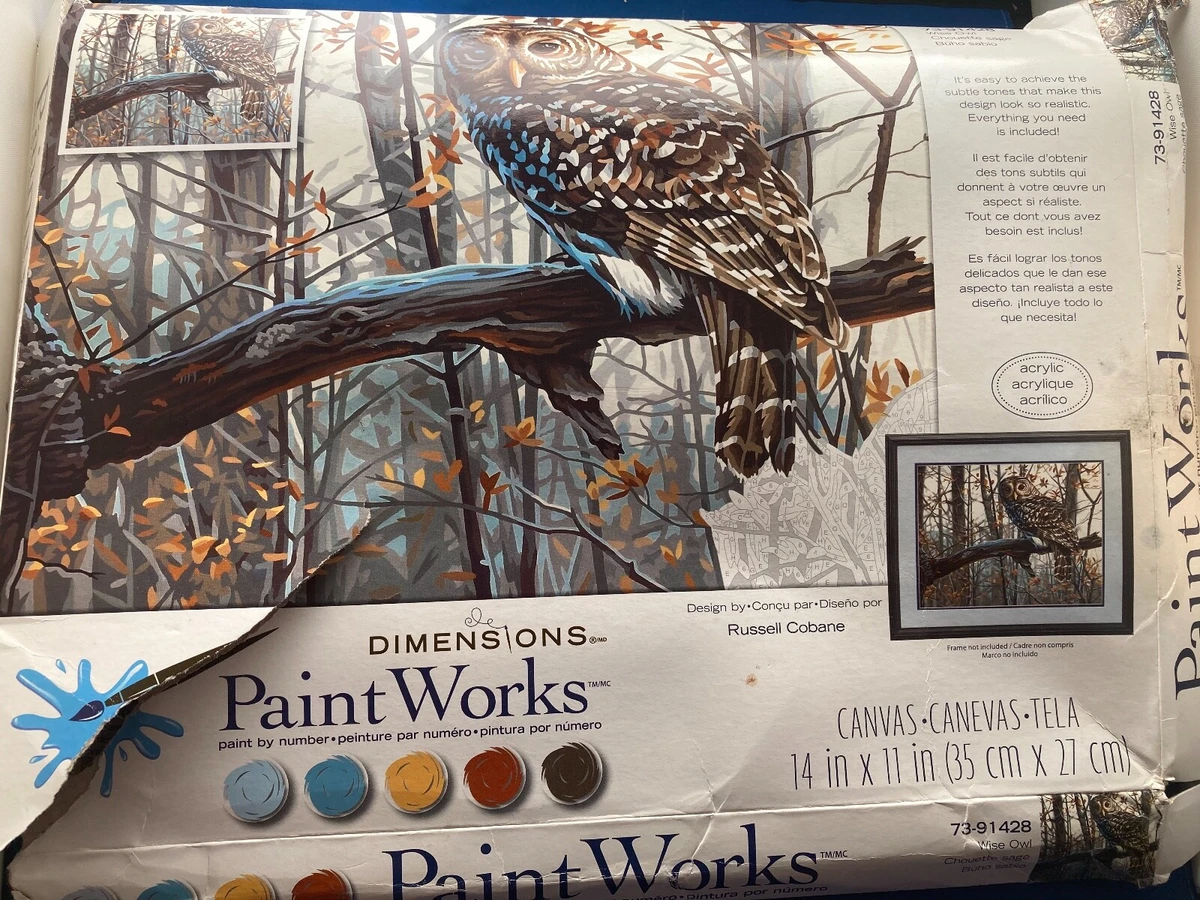Paintworks Wise Owl Paint by Number Kit DIY 35cm x 27cm eBay