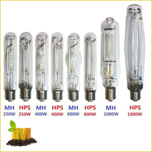 600 watt high on sale pressure sodium bulb