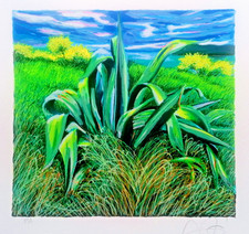 Franco Azzinari serigrafia firmata numerata e certificata  cm. 33  x 35.