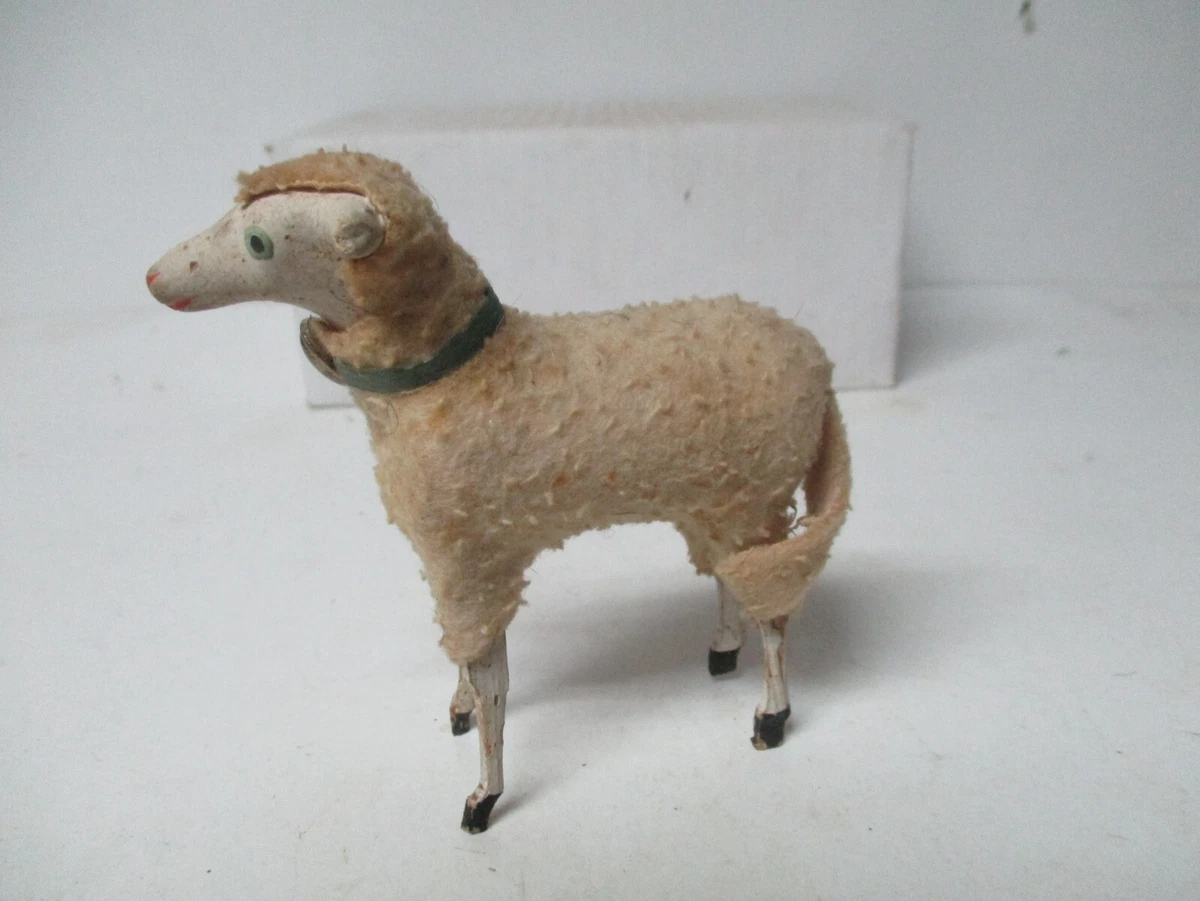 Wooly coat worn by sheep sale