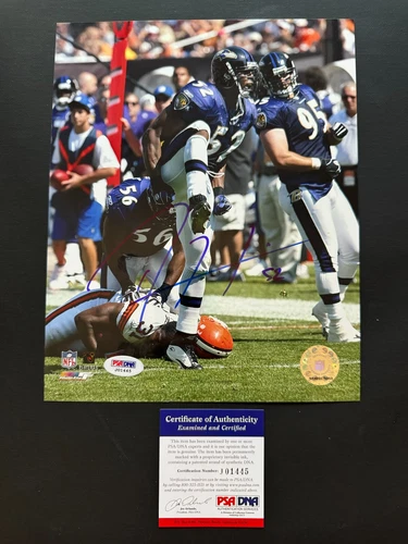 Ray Lewis Hot! autographed signed Baltimore Ravens HOF 8x10 photo PSA/DNA coa