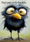 NEW Happy Birthday A5 Sized Card Adult Humorous Funny Birthday Card  Crow2