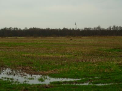 Photo 12x8 Farmland, Astley Moss Astley Green I am at north eastern corner c2015