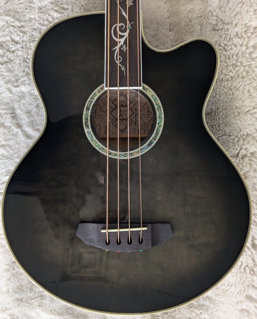 Michael Kelly Dragonfly 4 Fretless Acoustic-Electric Bass Guitar