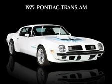 1975 Pontiac Firebird Trans Am NEW METAL SIGN: Original Look in White & Blue