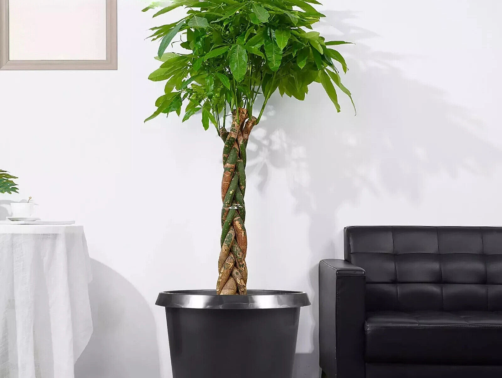 15 Gallon Plastic Garden Plant Flower Pot Planter Nursery Pots ( Set of 10 )