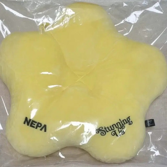 Joonho Lee Fan Meeting Cushion Unopened