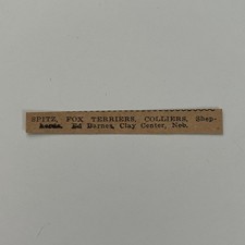 Ed Barnes Spitz Fox Terrier Colliers Clay Center NE 1926 Clipping SAI1-S9