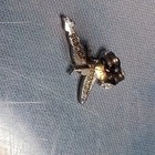 Disney Tinker Bell Silver Stud Earrings Fairy Jewelry Character Theme — photo 4