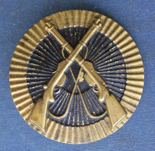 T52 Tätigkeitsabzeichen Gewehrschützenauszeichnung für das Matrosenkorps 1891 RR