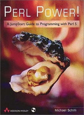 PERL POWER!: A JUMPSTART GUIDE TO PROGRAMMING WITH PERL 5 By Michael Schilli