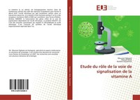 Etude Du RôLe De La Voie De Signalisation De La Vitamine A Norbert Ghyselinck
