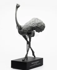 EVOLABORATORY Ostrich Muscle Anatomy Struthio Camelus Realistic Decor Model