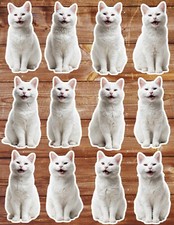 White Cat Die Cut Vinyl Stickers Set Scrapbooking Laptop Water Bottle