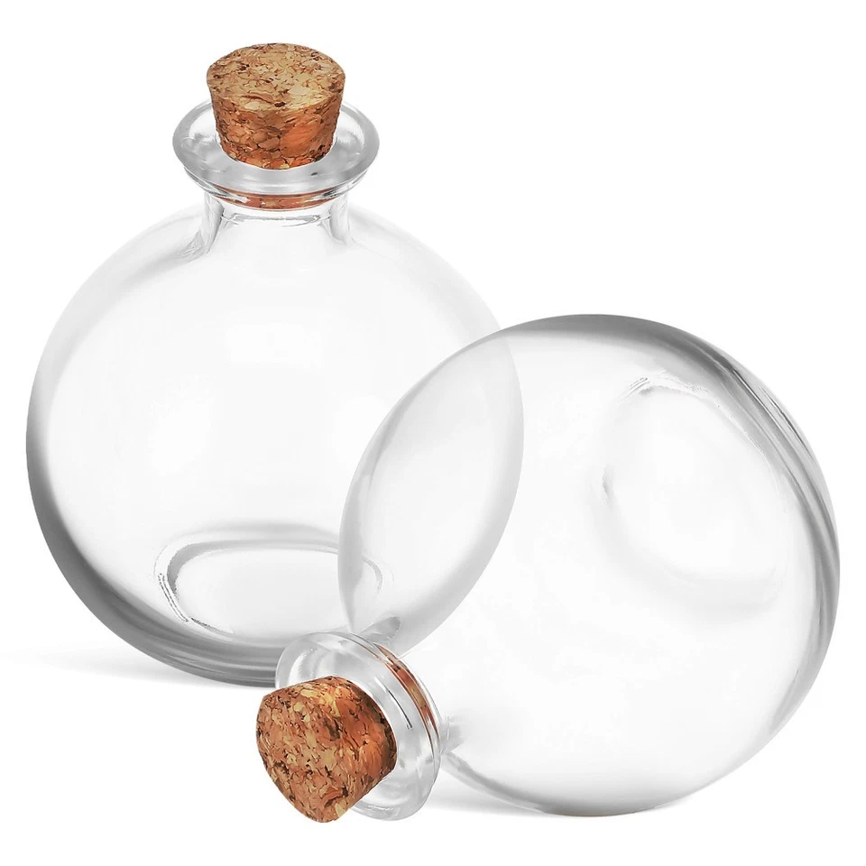  2 Pcs Glass Container with Cork Lid Desktop Planter Flower Pot Terrarium