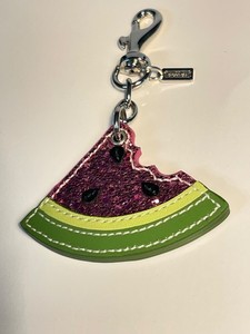 Coach Watermelon | eBay