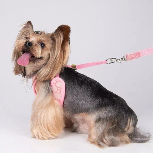 Small Dog Cat Puppy Harness+Lead Leash Set Pet Chihuahua Mesh Vest Adjustable UK - Picture 10 of 18