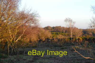 Foto 6x4 Letztes Sonnenlicht am Lower Crockford Bottom c2014