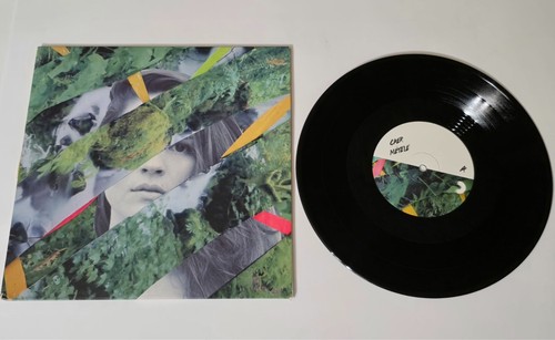 BUSCABULLA SIGNED VINYL 10" ROCK LATIN INDIE DISCOS DIASPORA PUERTO RICO RICAN - Picture 21 of 21