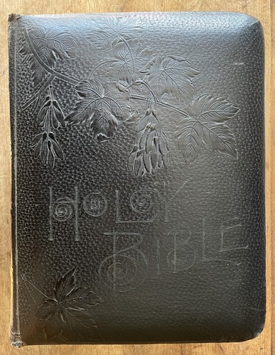 Circa 1915 Pictorial Family Bible Massive Holman (P. O.S. of A) Color Plates - Picture 2 of 23