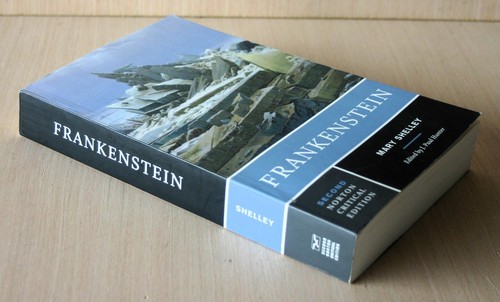 1996 Second Norton Critical Edition MARY SHELLEY'S FRANKENSTEIN very clean EX - Bild 2 von 7