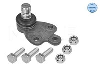 Meyle 7160100032 Traggelenk Vorne FüR Focus IV 1.0-2.3 01.18- Ford
