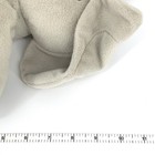 Bild 6 von 6
