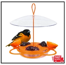 Nature'S Way OFP1 All-In-One Oriole Buffet Bird Feeder, Orange