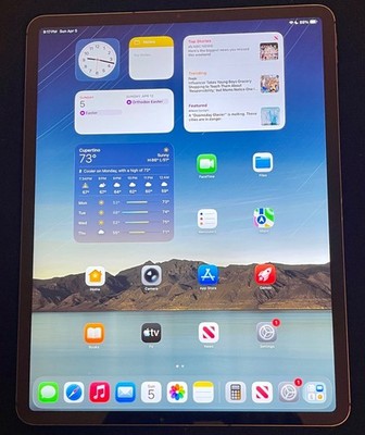  iPad Pro 12.9 4th Gen. 1TB WiFi Cellular Unlocked A2069 Gray