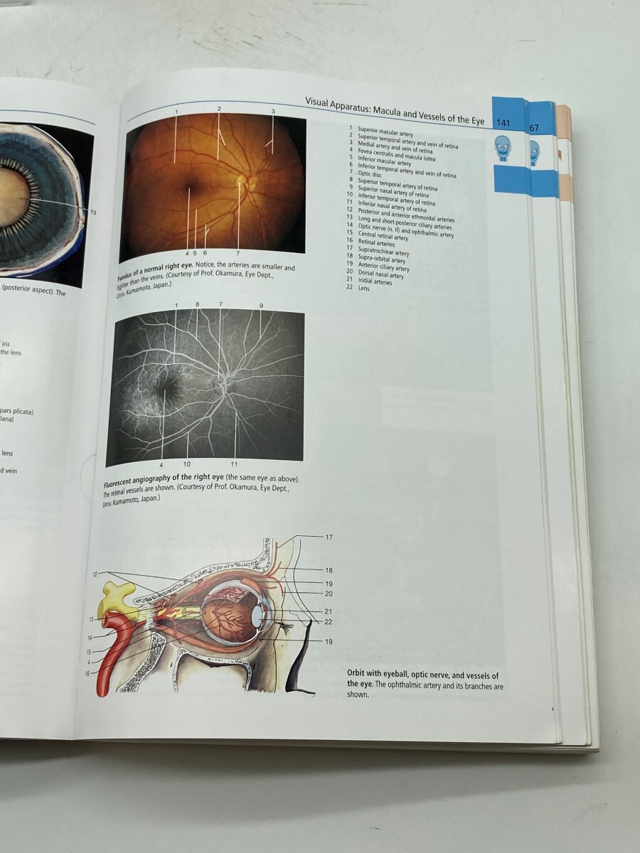 Anatomy A Photographic Atlas | eBay