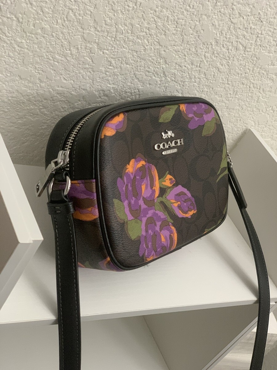 そむちゃいCoach バックパック ブラウン/グリーン/ブラック/パープル