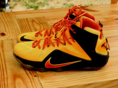 lebron witness 12