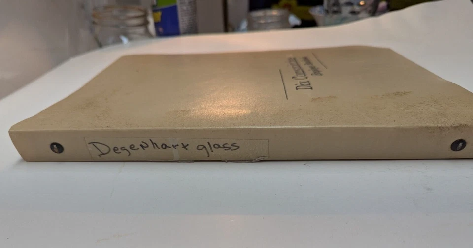 Pisapapeles y vidrio Degenhart de colección guía de coleccionista por Gene Florence años 90 Foto 2 de 4