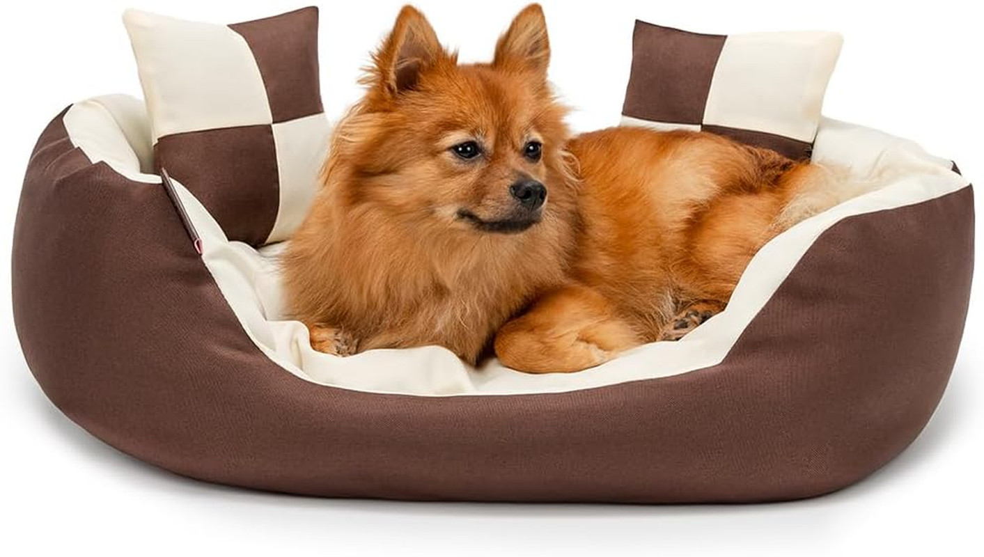 4 in 1 Lettino per Cane (S) 65x50 cm Marrone/Beige | Cuccia Reversibile