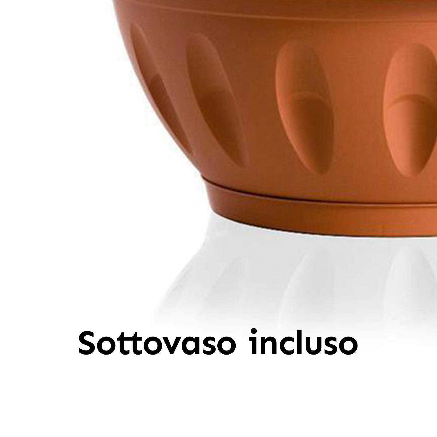 Foto 4 di 11