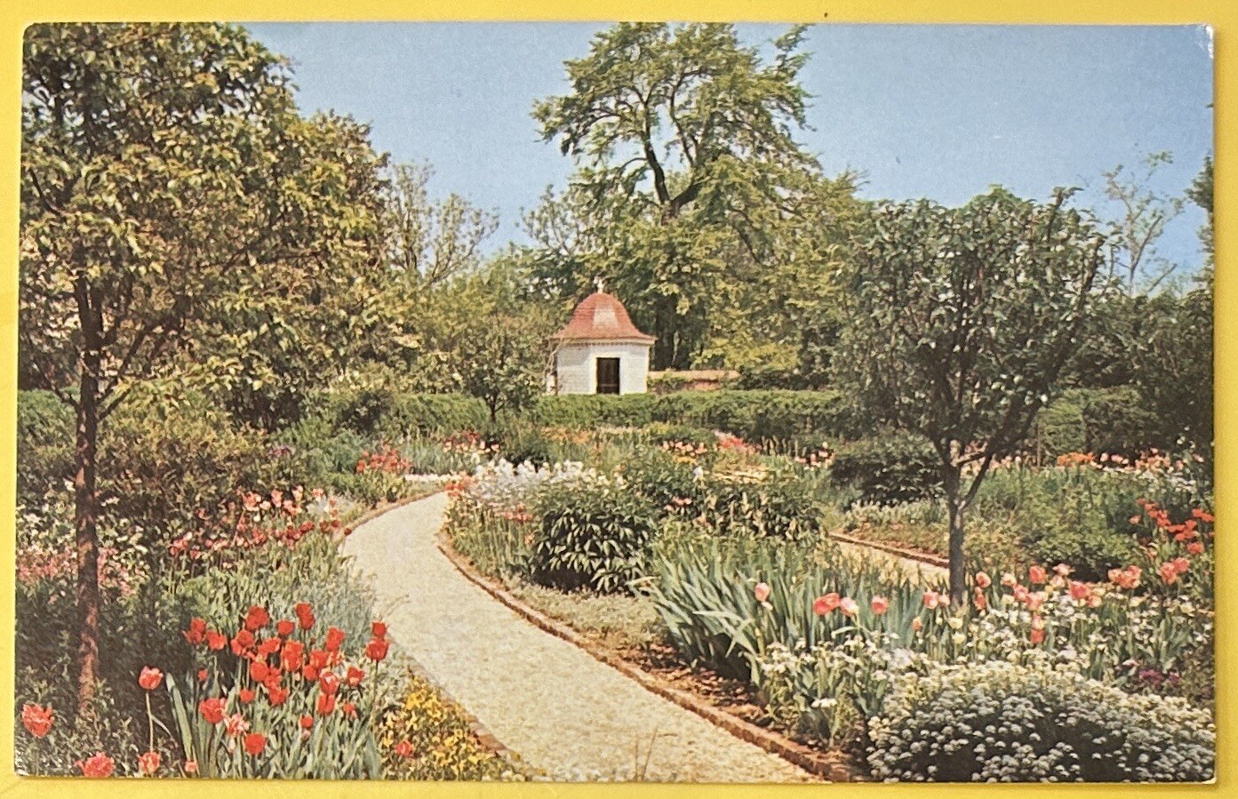 Foto 1 di 2