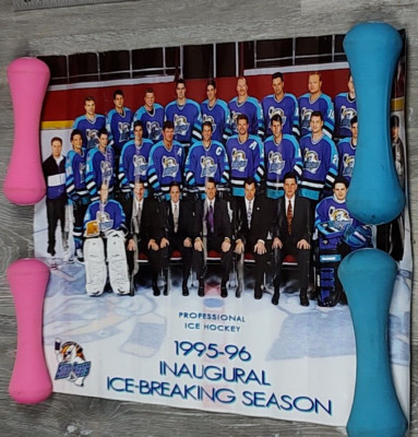 1995 1996 Orlando Solar Bears Inaugural Ice Breaking Season Team Poster