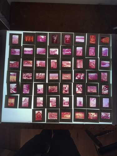 Lot of 54 Photo Slides, Japan Set (Rural Life, Nijo Castle, Cherry Blossoms)