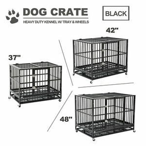 large kennel tray