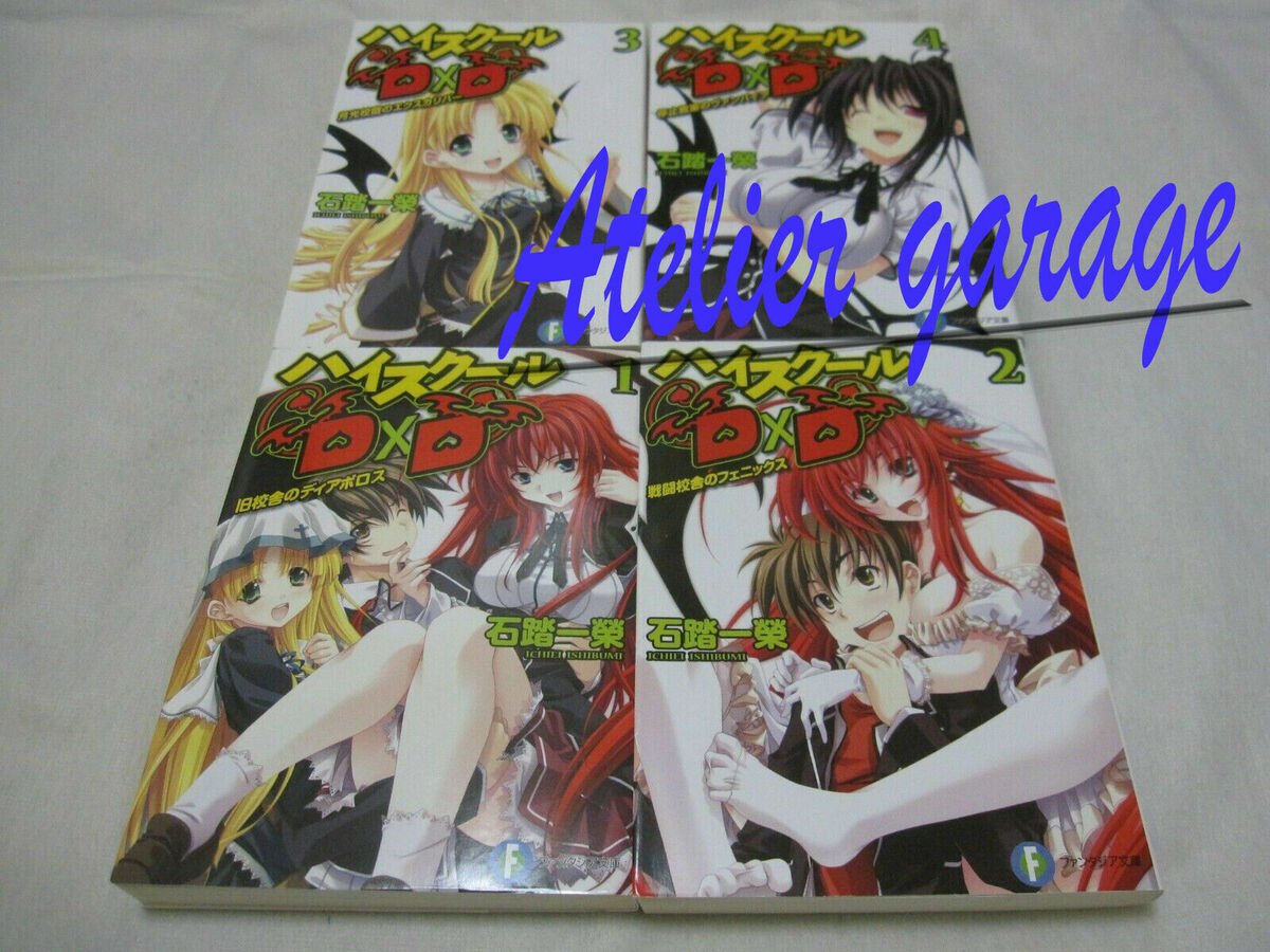 Ichiei Ishibumi high school DxD light novel complete set of 25 volumes  used/good