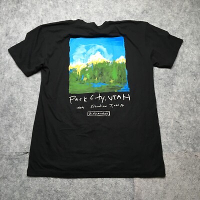 Backcountry x Ripple Junction Park City Utah T Shirt Mens XL Black Ski Painting