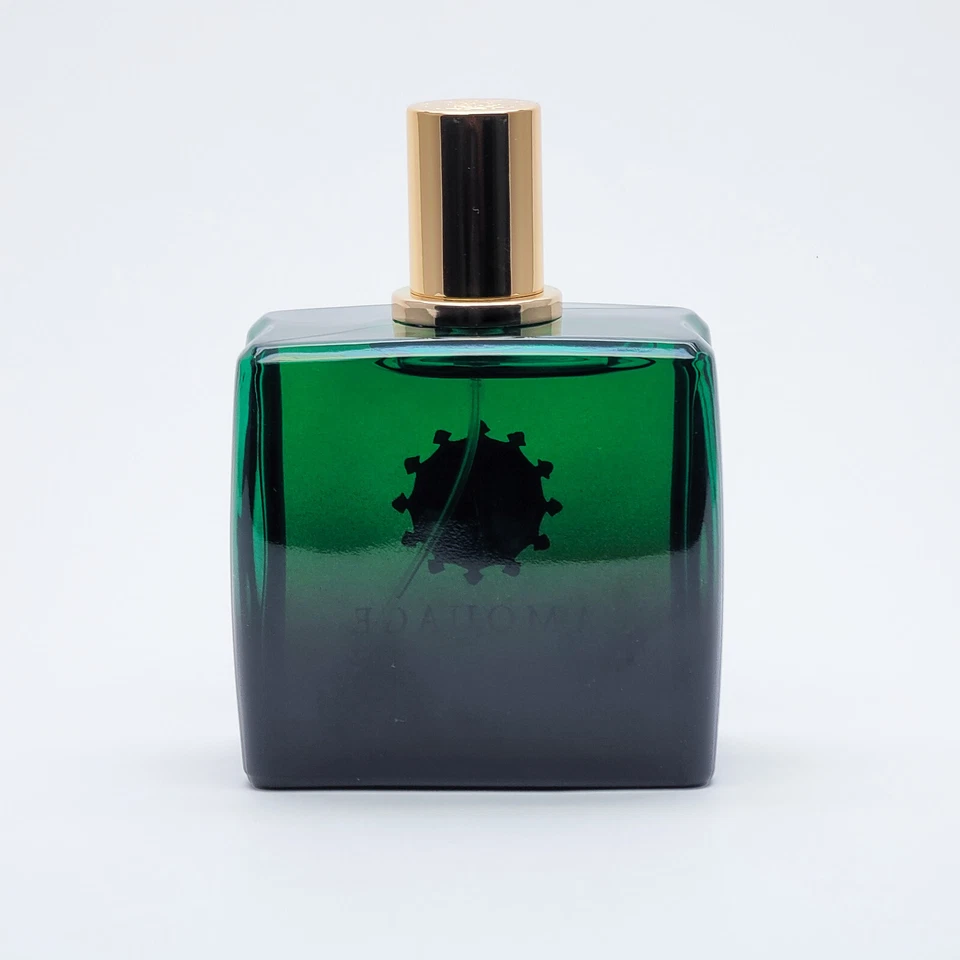 EPIC por Amouage Woman 3,4 OZ Eau De Parfum EDP Spray para Damas TSTR *AUTÉNTICO* Foto 3 de 4